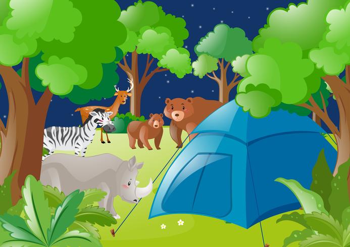 Scena con tenda e animali selvatici nella foresta vettore