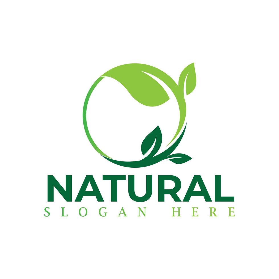 naturale, eco cibo, verde foglia piantina, in crescita pianta logo design vettore modello. naturale loghi con le foglie
