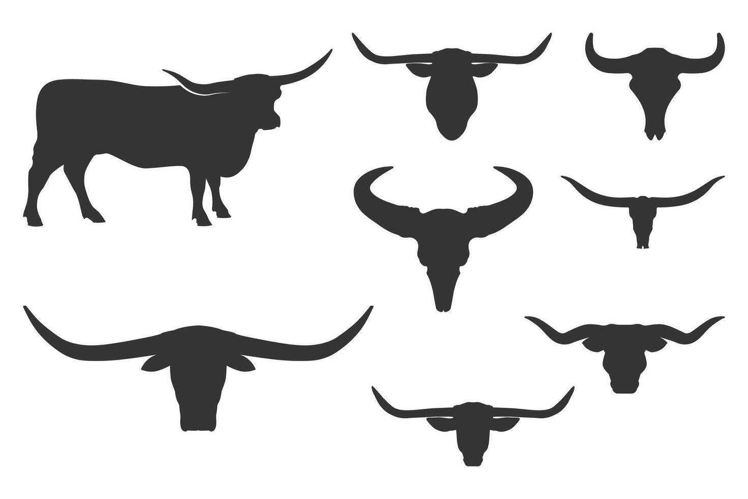 Texas Longhorn cranio, Longhorn Toro cranio svg, mano disegnato cranio svg, deserto mucca cranio clipart, mucca cranio, vettore