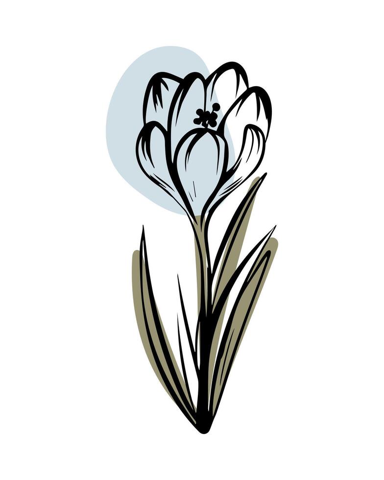croco nel schizzo stile con astratto colore forme, disegnato a mano isolato su bianca sfondo. floreale schizzo per Stampa disegni, segnaletica, fiore negozi, loghi nel nero e bianca. vettore