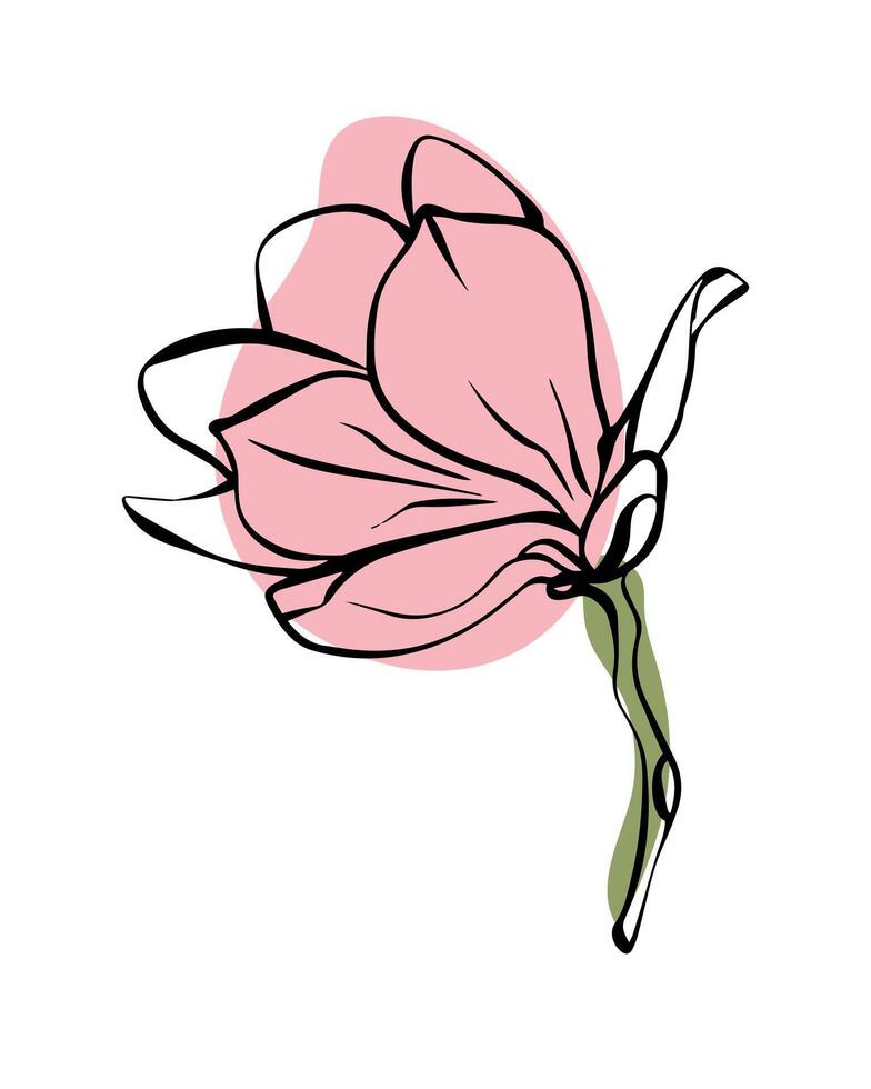 magnolia nel schizzo stile con astratto colore forme, disegnato a mano isolato su bianca sfondo. floreale schizzo per Stampa disegni, segnaletica, fiore negozi, loghi nel nero e bianca. vettore