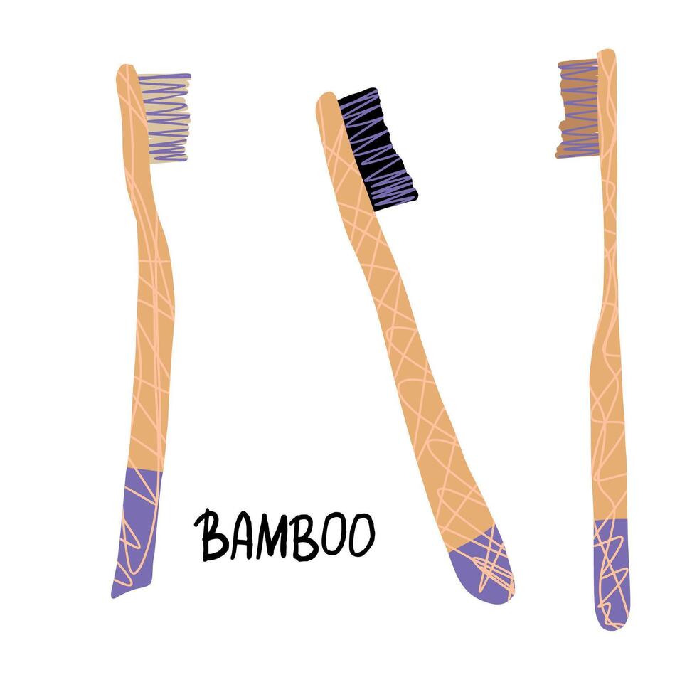 bambù dente spazzole impostare. vettore illustrazione.