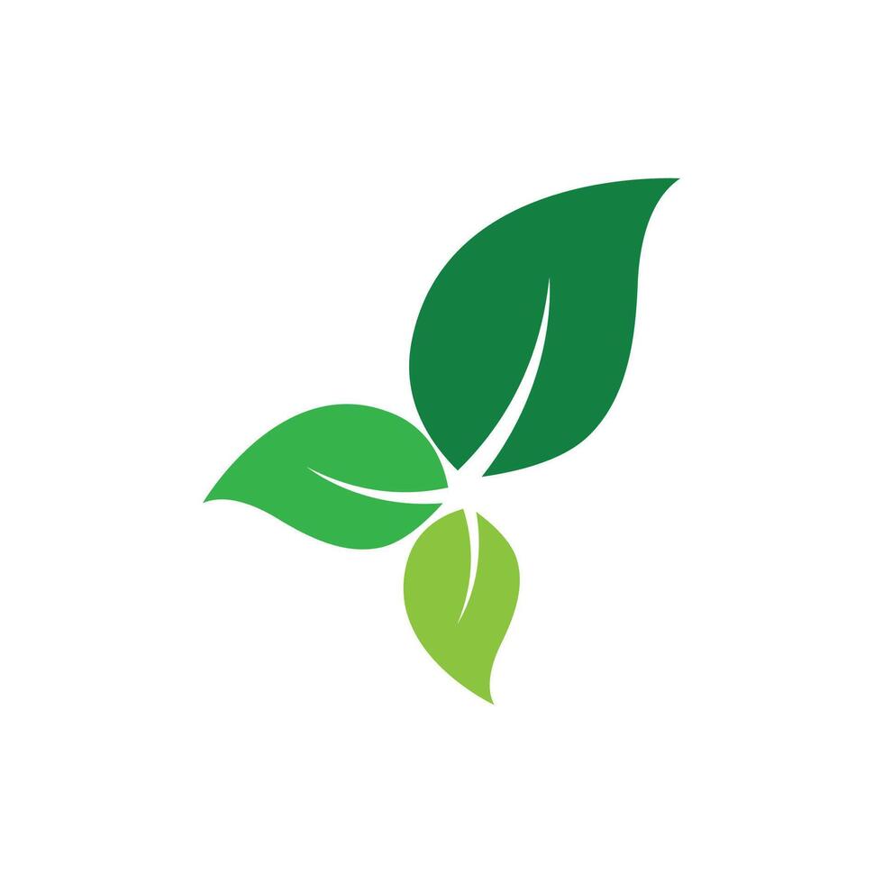 verde foglia logo vettore modello elemento simbolo design