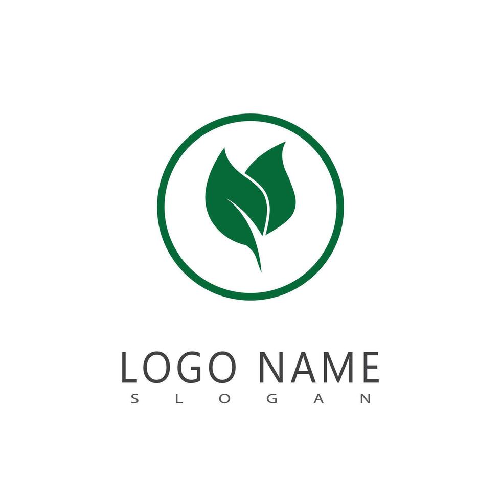 verde foglia logo vettore modello elemento simbolo design