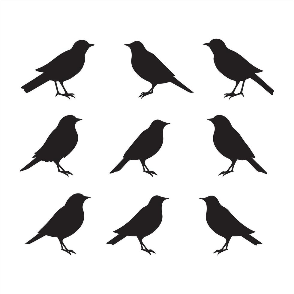 un' nero silhouette allodola uccello impostato vettore