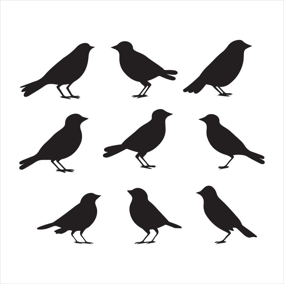 un' nero silhouette fringuello uccello impostato vettore