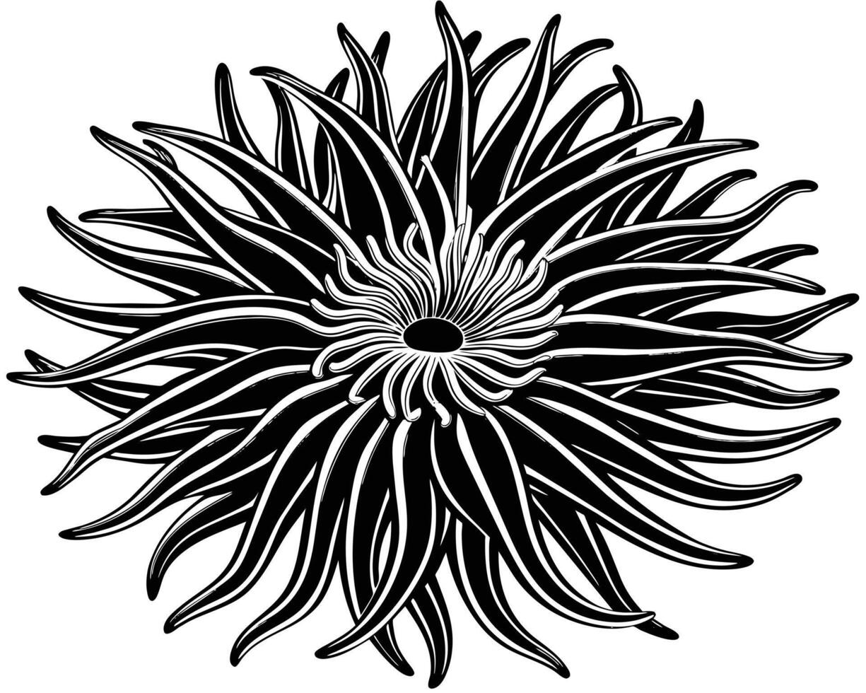 anemone schema vettore illustrazione
