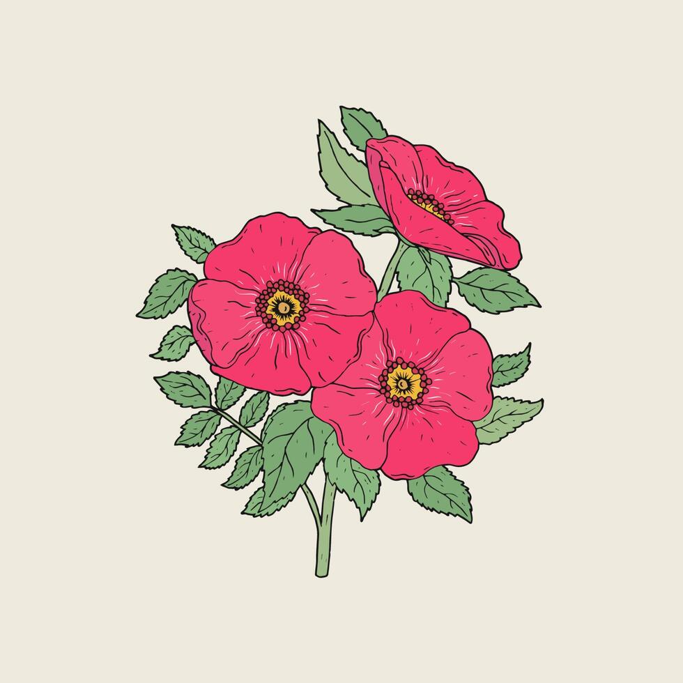 dettagliato disegno di bellissimo cane Rose in crescita su stelo con le foglie. rosa fioritura fiori mano disegnato nel elegante antico stile. parte di bellissima selvaggio fioritura arbusto. botanico vettore illustrazione.