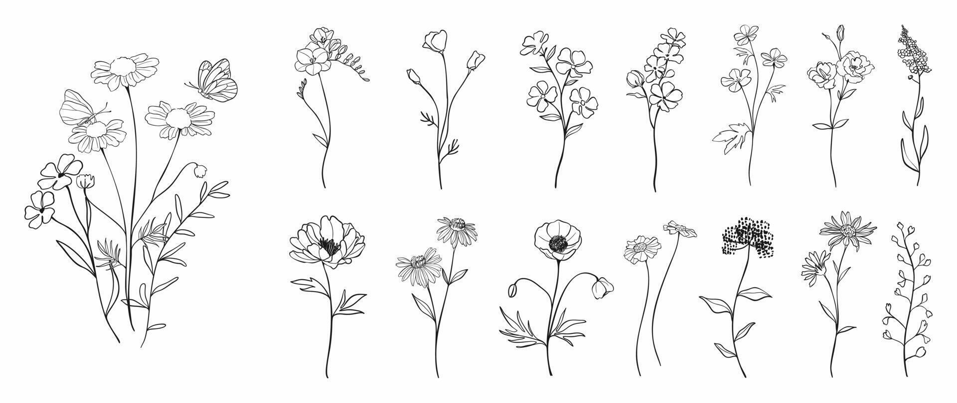 impostato di fiore mano disegnato elemento vettore. collezione di fogliame, ramo, floreale, foglie, fiore di campo, petalo, fiore mazzo, la farfalla. primavera fiorire illustrazione design per logo, nozze, invito. vettore