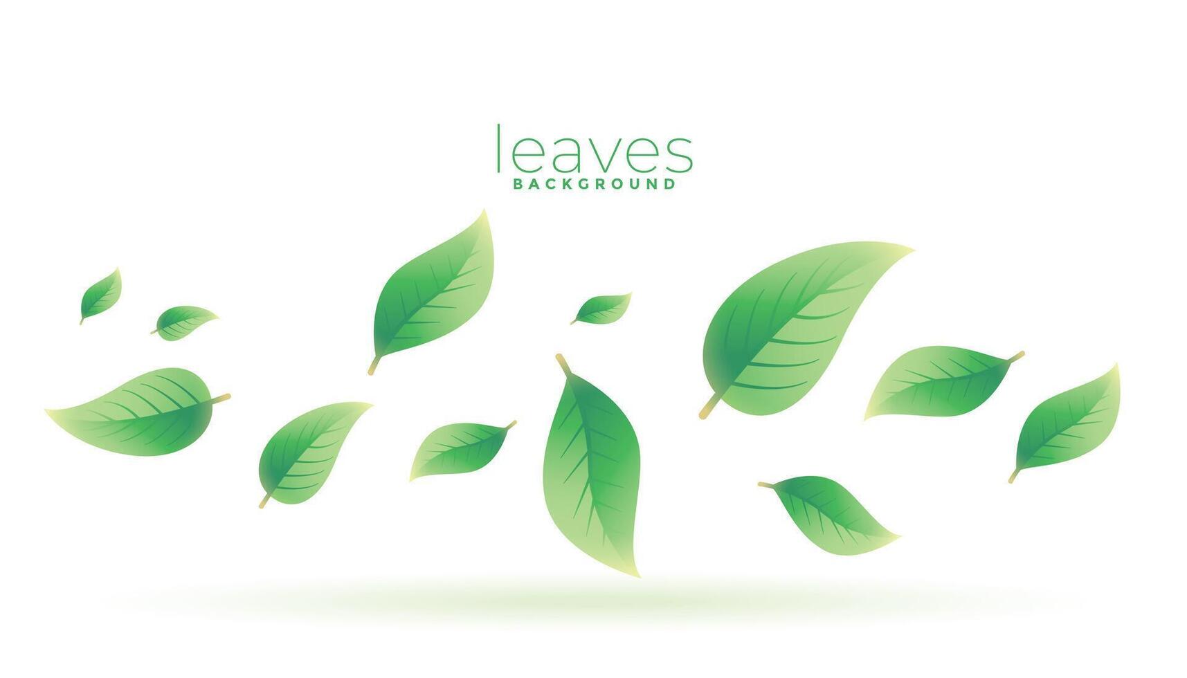 verde tè le foglie caduta sfondo design vettore