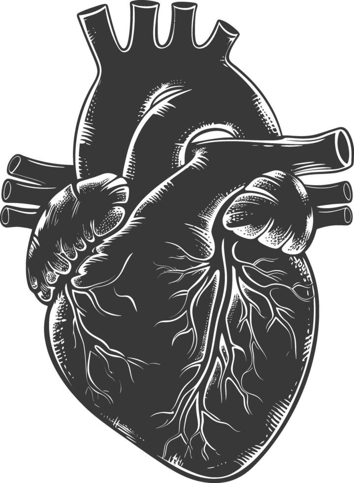 ai generato silhouette per interno organi di cuore nero colore solo vettore