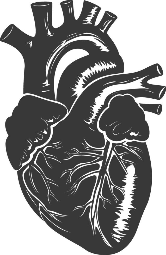 ai generato silhouette per interno organi di cuore nero colore solo vettore
