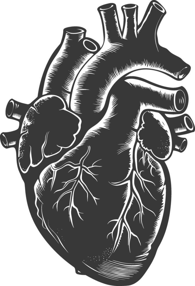 ai generato silhouette per interno organi di cuore nero colore solo vettore