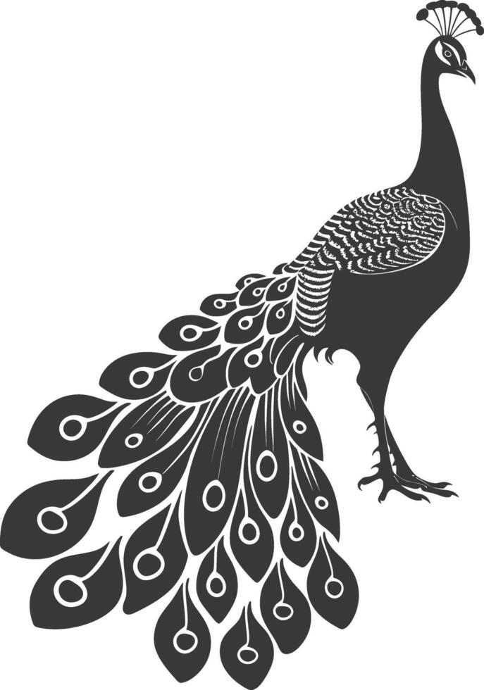ai generato silhouette pavone uccelli animale nero colore solo vettore