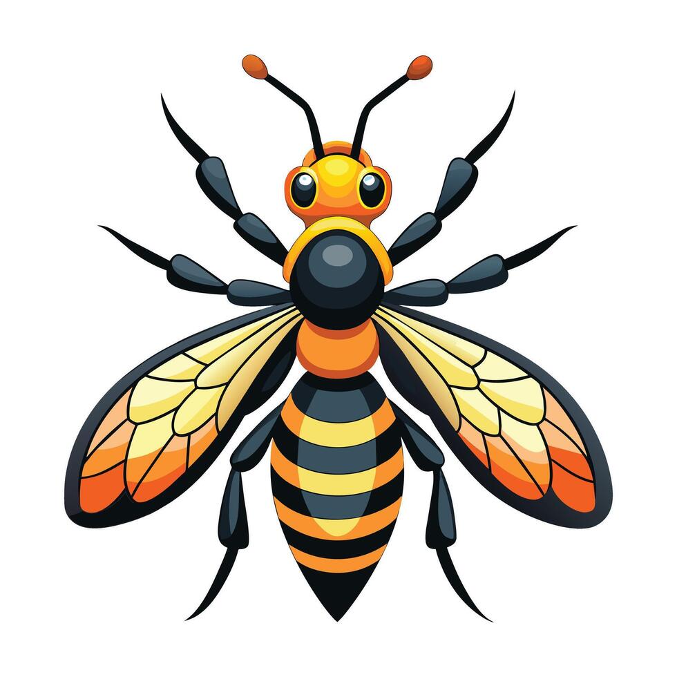 vettore di vespa illustrazione su bianca.