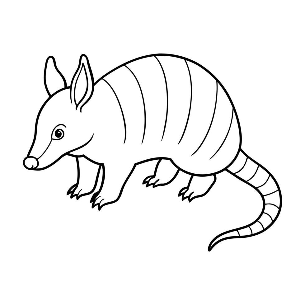 armadillo illustrazione colorazione pagina per bambini vettore