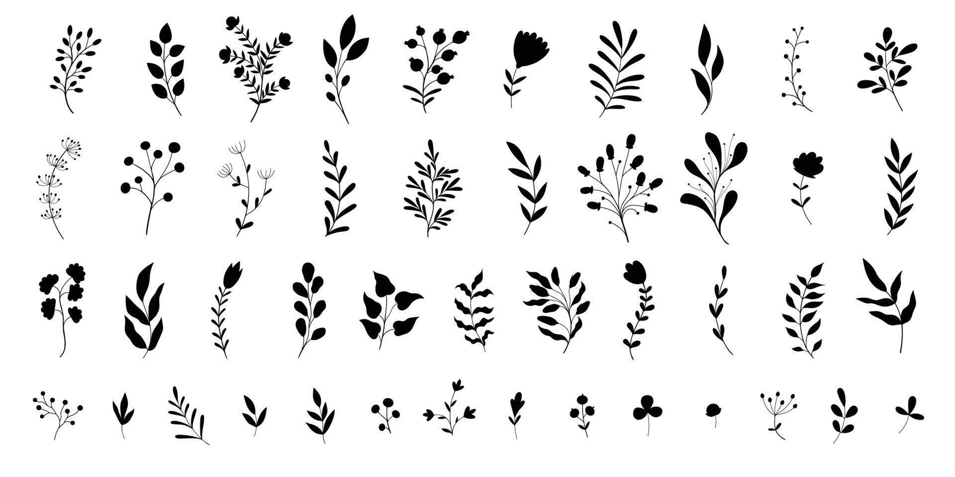 mano disegnato nozze erba, minimalista fiori con elegante le foglie. nero e bianca illustrazioni isolato su bianca sfondo vettore