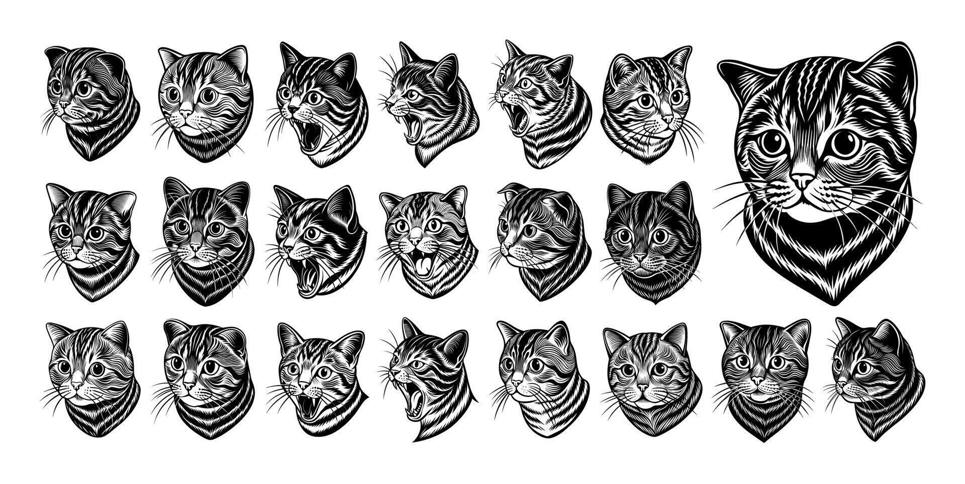 ai generato collezione di lato Visualizza Scozzese piegare gatto testa illustrazione design vettore