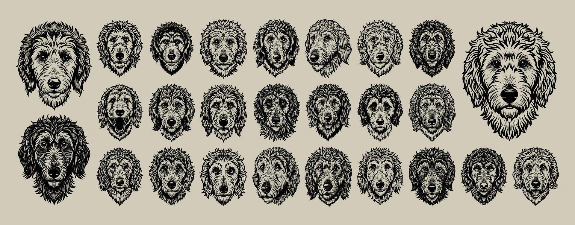 ai generato fascio di davanti Visualizza Goldendoodle cane testa maglietta design vettore