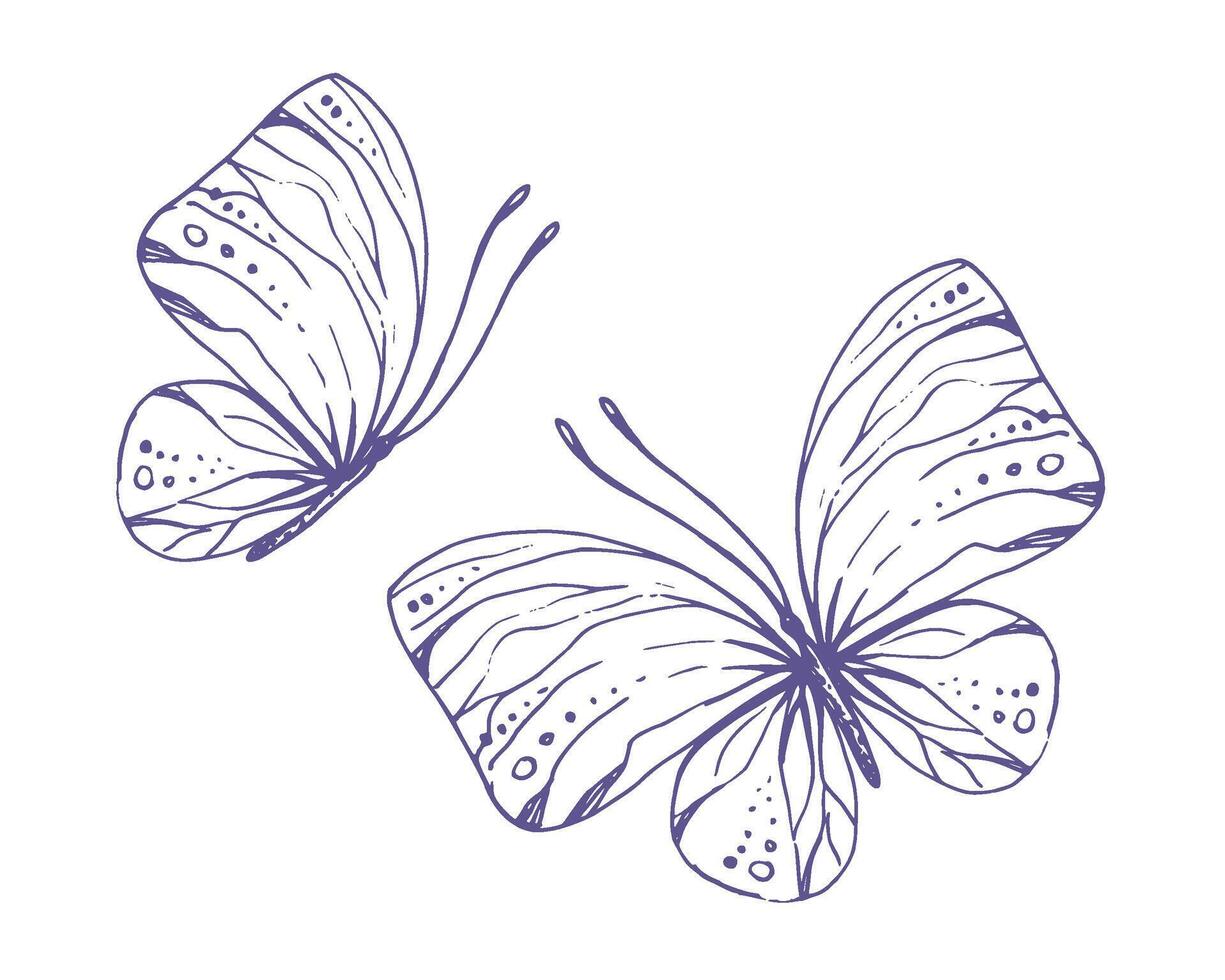 delicato farfalle con modelli su il Ali, semplice, dolce, luce, romantico. illustrazione graficamente disegnato a mano nel lilla inchiostro nel linea stile. impostato di isolato eps vettore oggetti