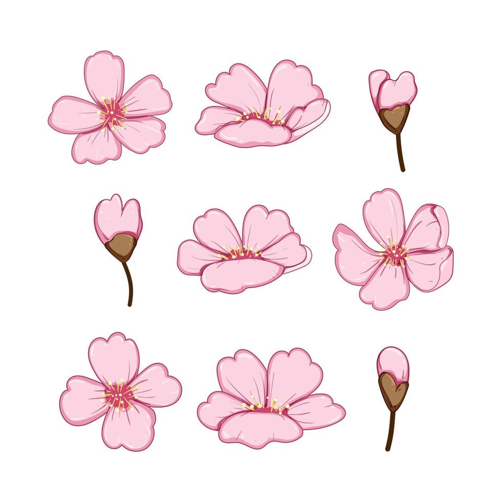 sakura ciliegia fiorire impostato cartone animato vettore illustrazione