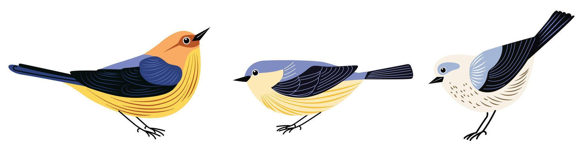 impostato di decorativo uccelli mano disegnare piatto vettore. vettore