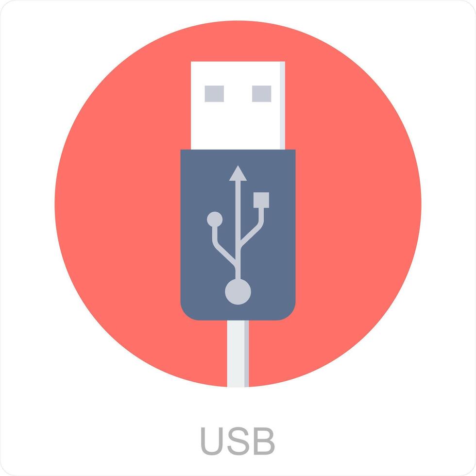 USB e cavo icona concetto vettore