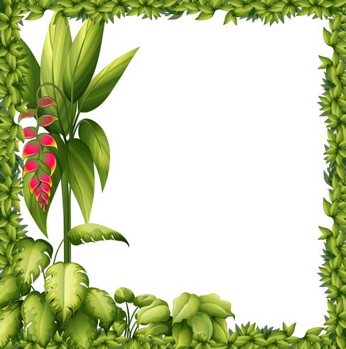 Una cornice verde con un fiore vettore