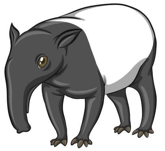 Tapiro vettore