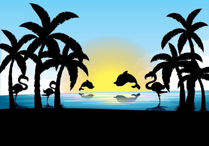 Scena silhouette con delfino e fenicottero al tramonto vettore