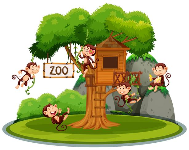 Scimmia alla casa sull&#39;albero nello zoo vettore