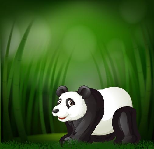 Un panda su sfondo verde sfocatura vettore