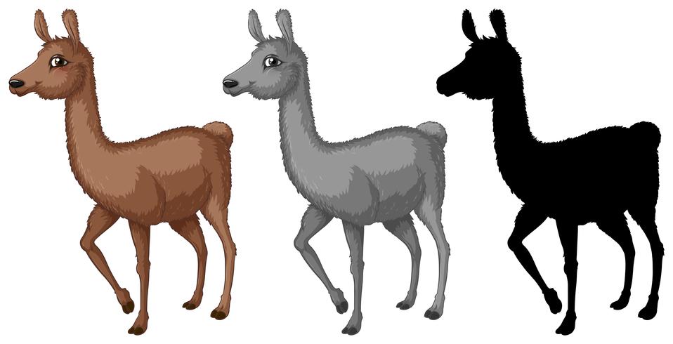Set di caratteri alpaca vettore