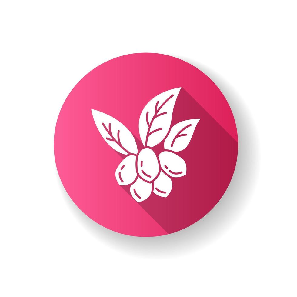icona del glifo con ombra lunga design piatto rosa jojoba. frutti con foglie. botanica. pianta esotica brasiliana. frutto miracoloso. produzione di olio osmetico. illustrazione a colori silhouette rgb vettore