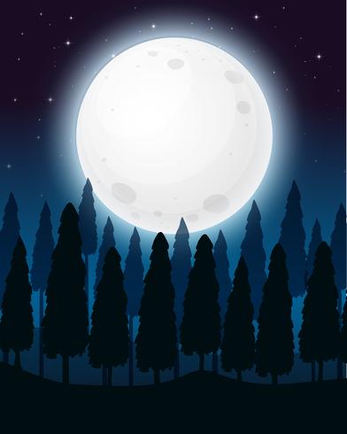 Una foresta nella notte della luna piena vettore