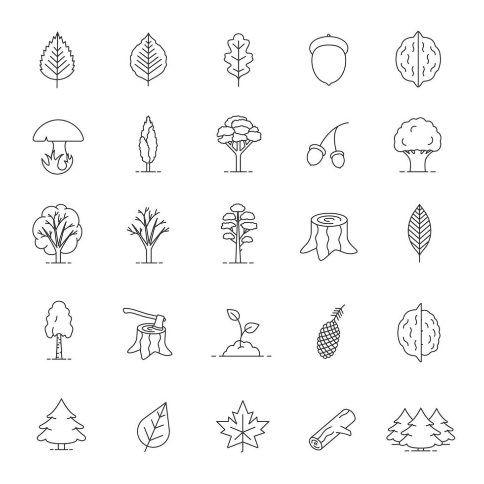 set di icone lineari di tipi di albero. foresta, parco. silvicoltura. simboli di contorno linea sottile. illustrazioni di contorno vettoriale isolato