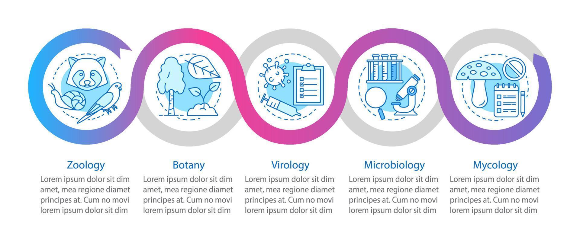 modello di infografica rami di biologia. zoologia, botanica, virologia, microbiologia, micologia. elementi di design di presentazione. fasi e opzioni di visualizzazione dei dati. grafico della sequenza temporale del processo. layout del flusso di lavoro vettore