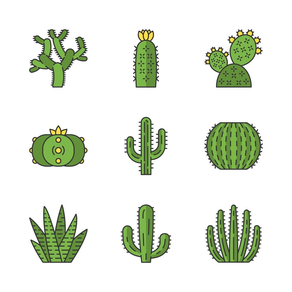 set di icone di colore di cactus selvatici. flora tropicale sudamericana. succulente. piante spinose. raccolta di cactus. illustrazioni vettoriali isolate