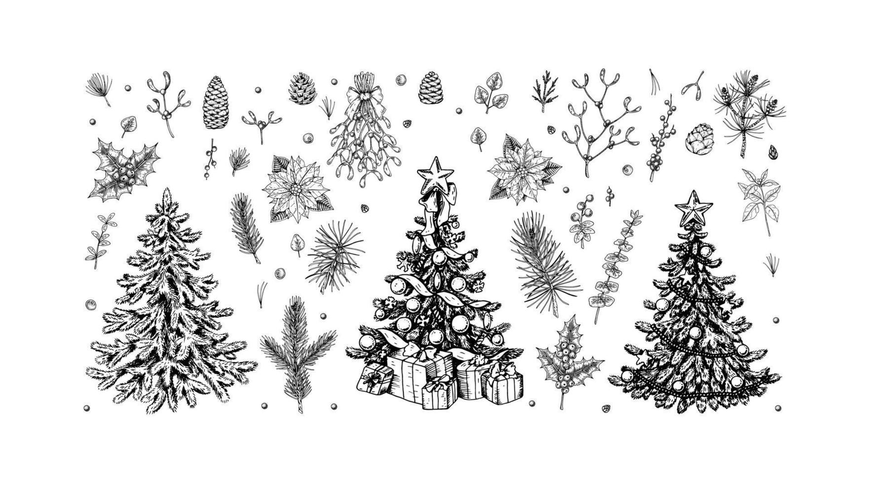 set di alberi di Natale decorati disegnati a mano, rami di piante, coni e bacche isolati su sfondo bianco. elementi di decorazione natalizia. illustrazione vettoriale. vettore