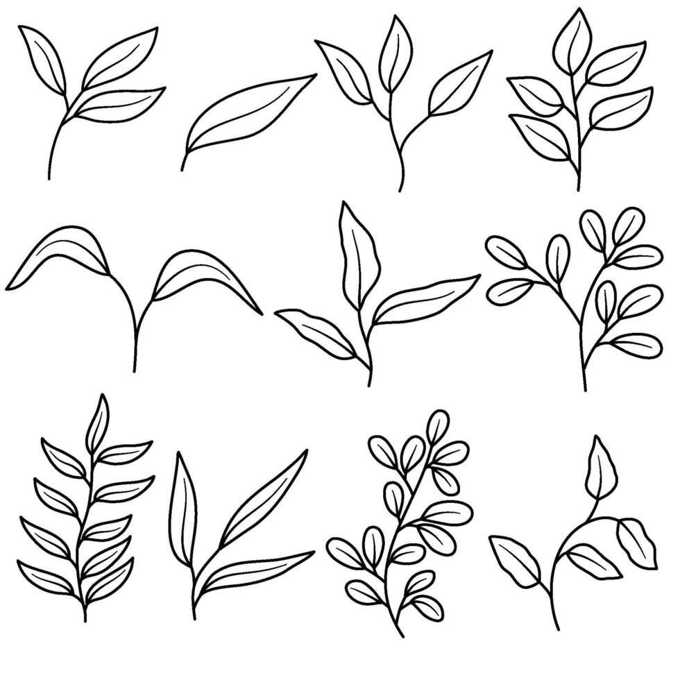 le foglie linea illustrazione vettore