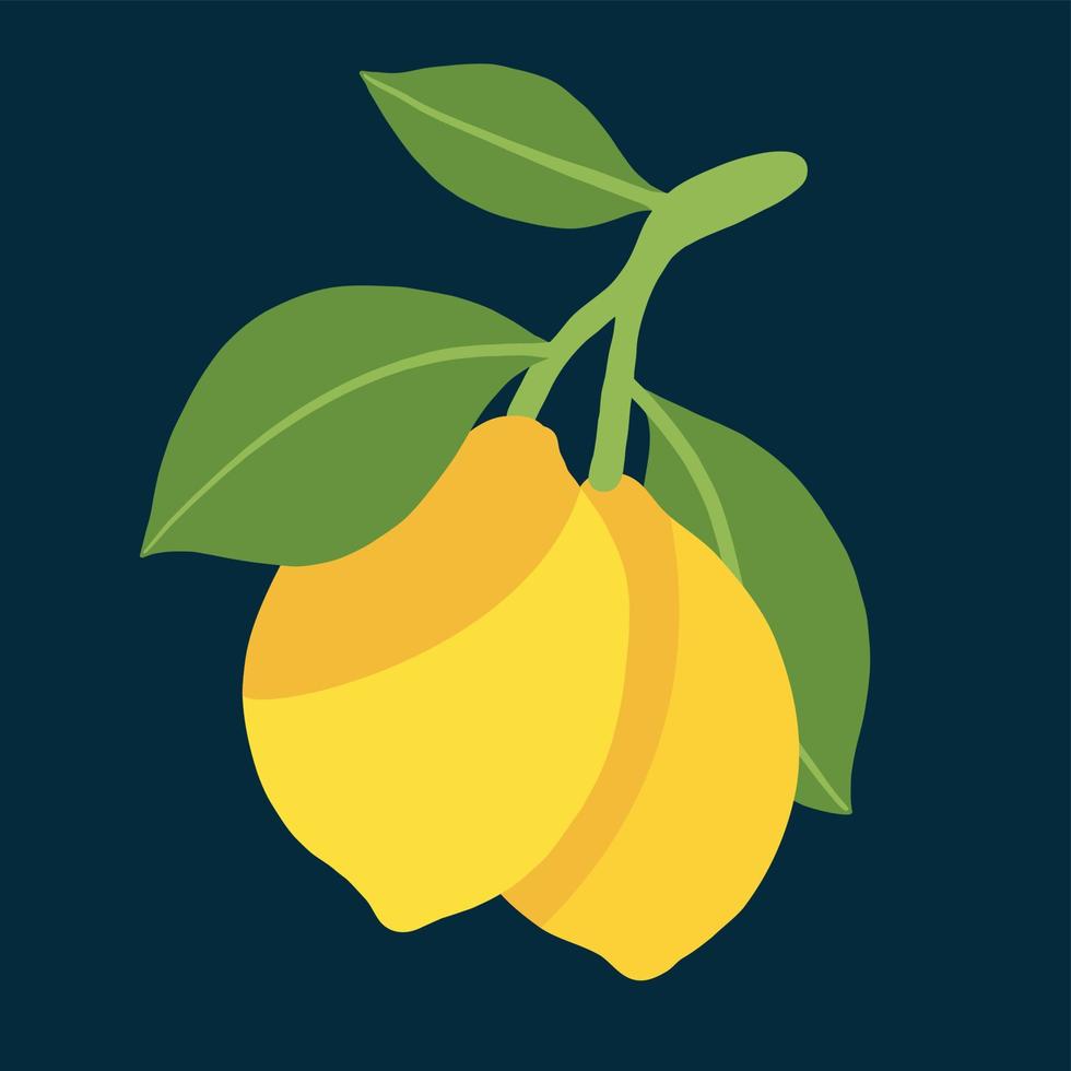 scarabocchiare a mano libera disegno di frutta di limone. vettore