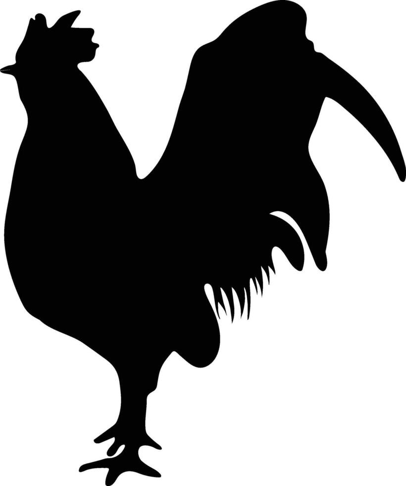 Gallo chiken vettore