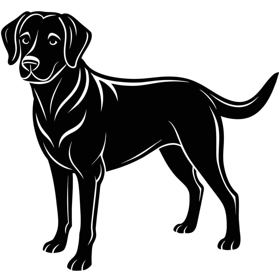 cane labrador, isolato su bianca sfondo vettore illustrazione.