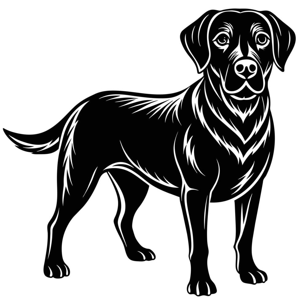 cane labrador, isolato su bianca sfondo vettore illustrazione.