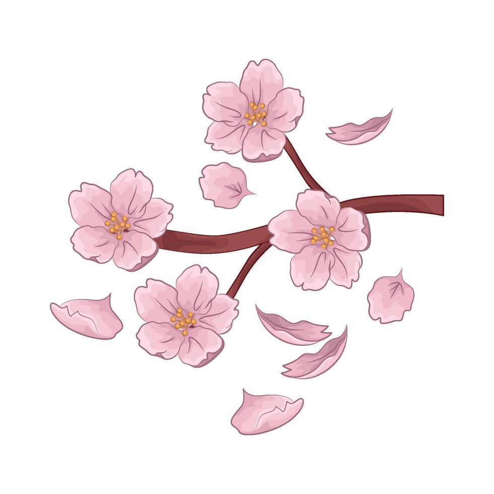 illustrazione di ciliegia fiorire vettore