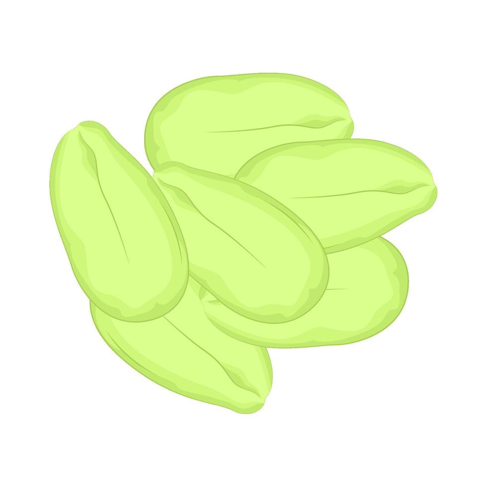 illustrazione di verdura petai vettore