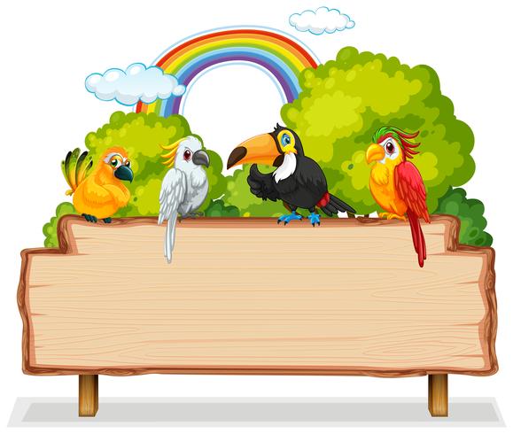 Molti uccelli su banner in legno vettore