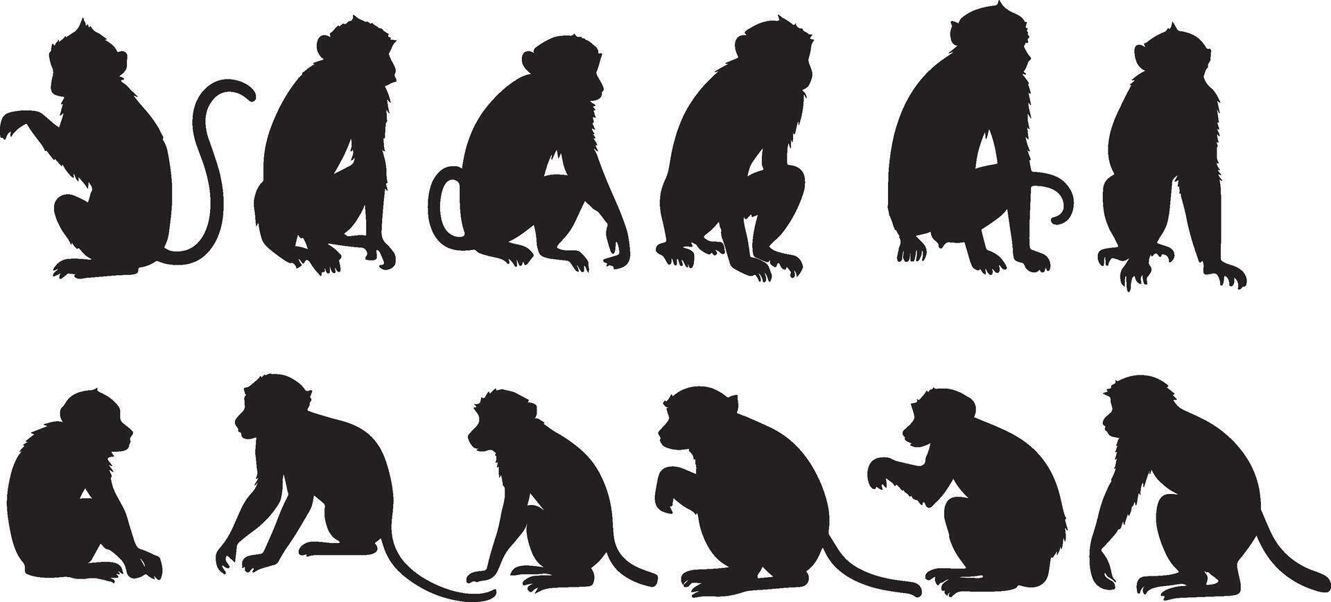 impostato di un' scimmia silhouette vettore illustrazione