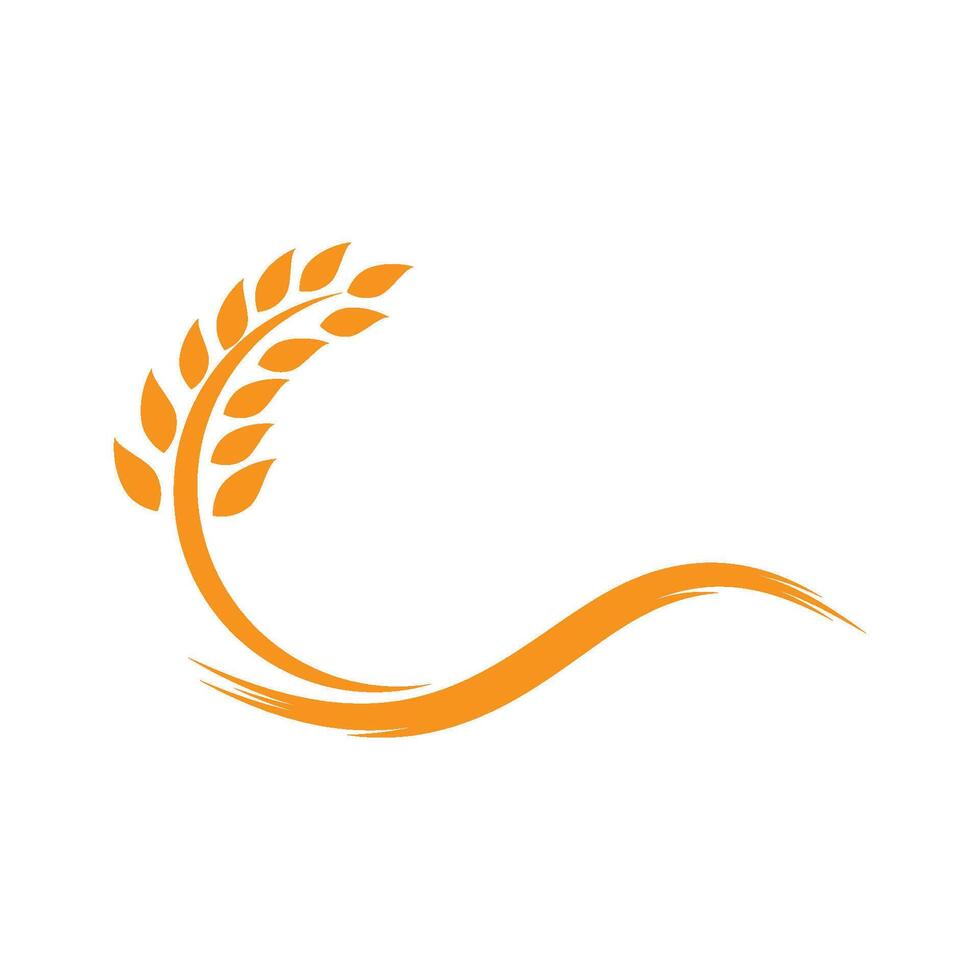 Grano logo icona vettore