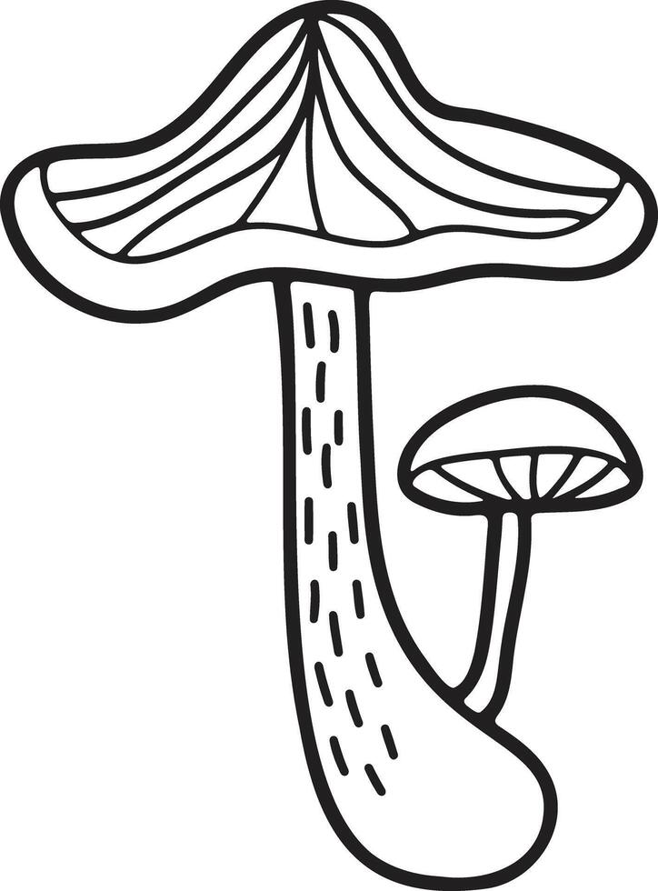 mano disegnato funghi o velenoso funghi nel piatto stile vettore